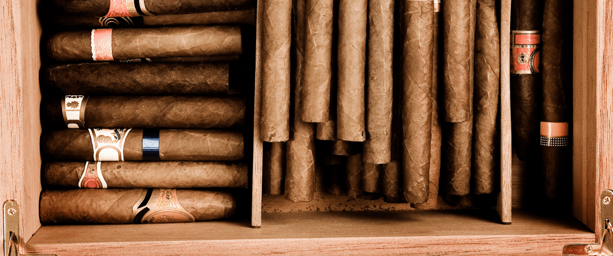 Best Cigars for Beginners in 2025: Where to Start