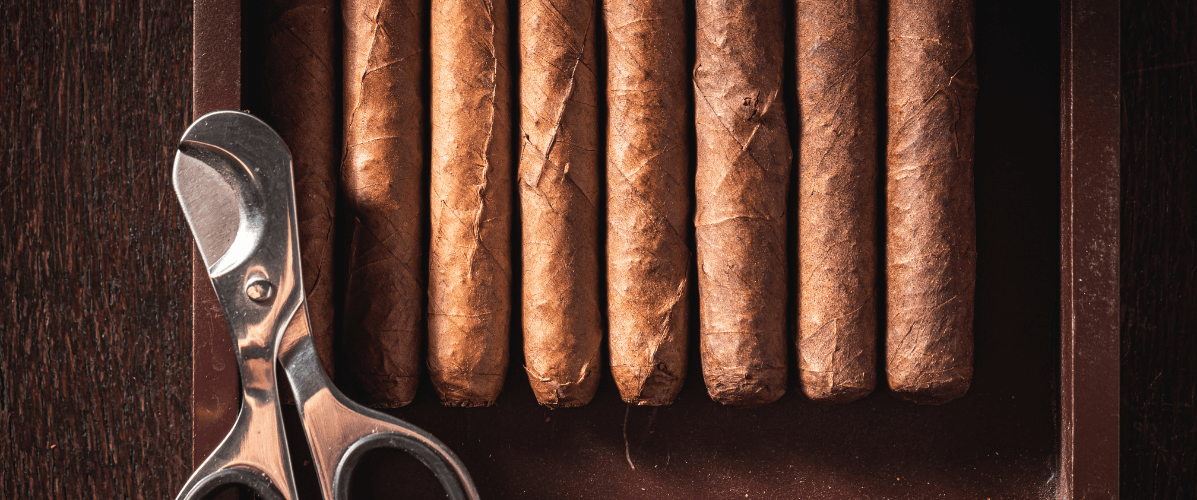 Cigar Cutting, Lighting & First Smoke: Step-by-Step